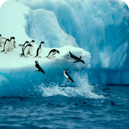 Antartica